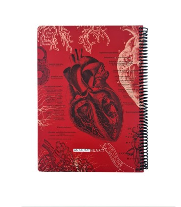 دفتر 100 برگ رحلی Science دات نوت dotnote طرح آناتومی قلب